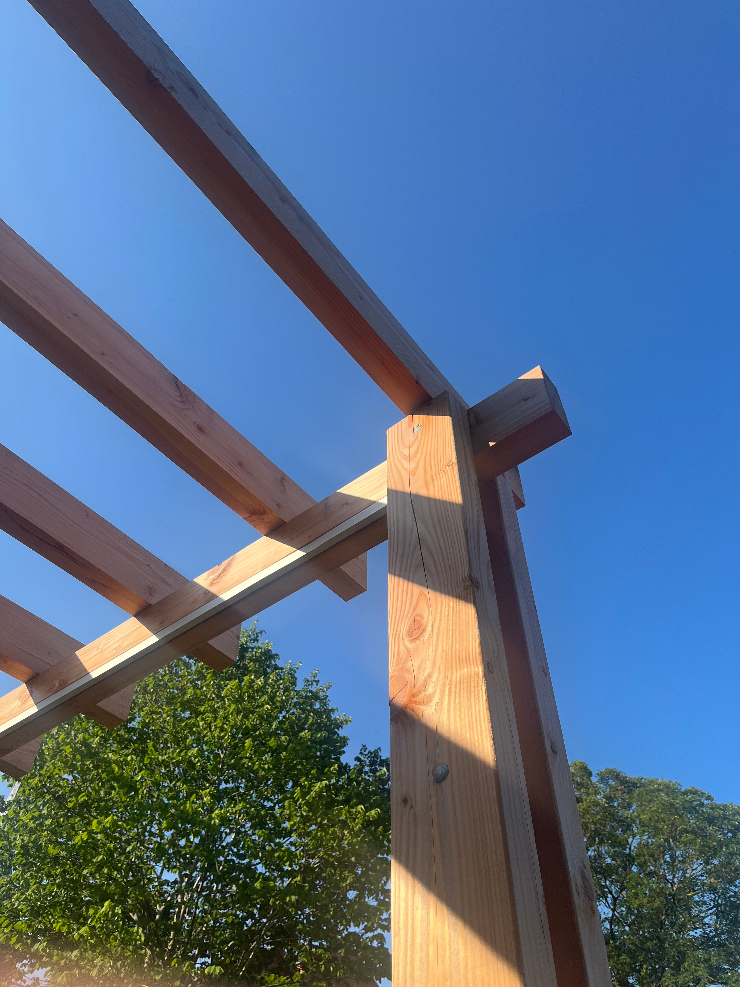 Detaljer lys i pergola D i agmars have ny park vestre stationsvej odense